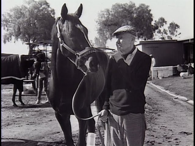 1985）サンデーサイレンス (Sunday Silence)写真額 競馬関係 1985