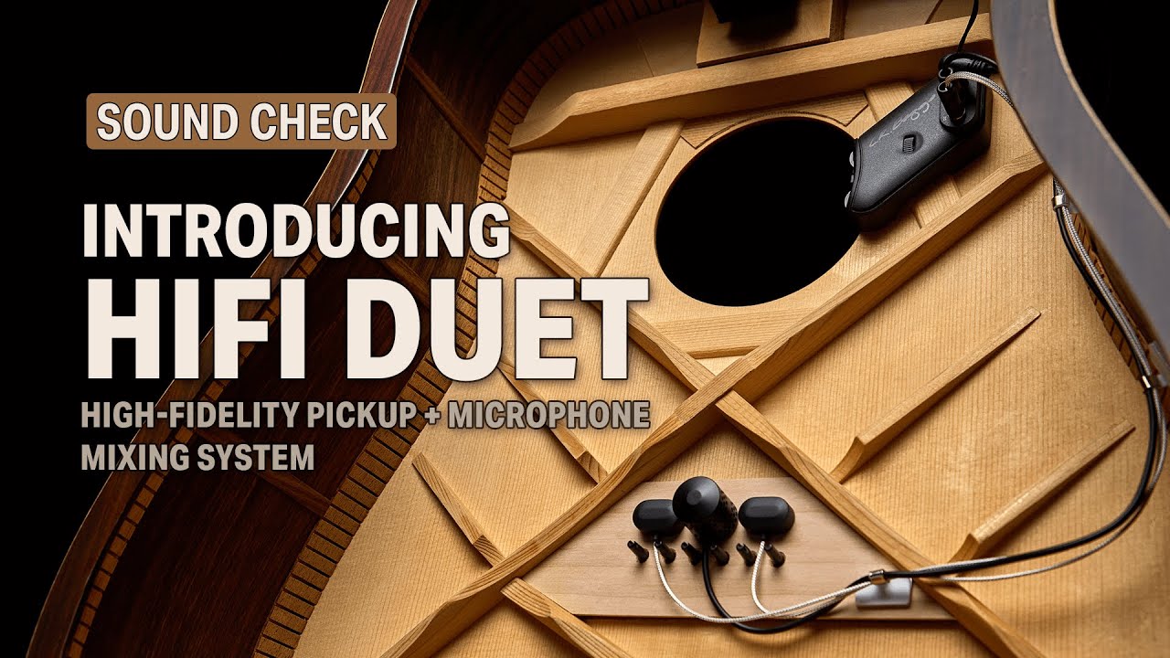 HiFi Duet High-Fidelity Pickup + Microphone Mixing System — LR Baggs