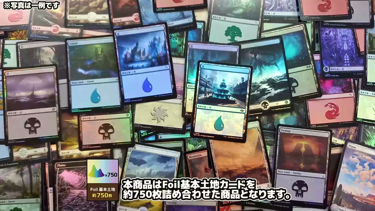 Foil基本土地 約750枚 | 日本最大級 MTG通販サイト「晴れる屋」