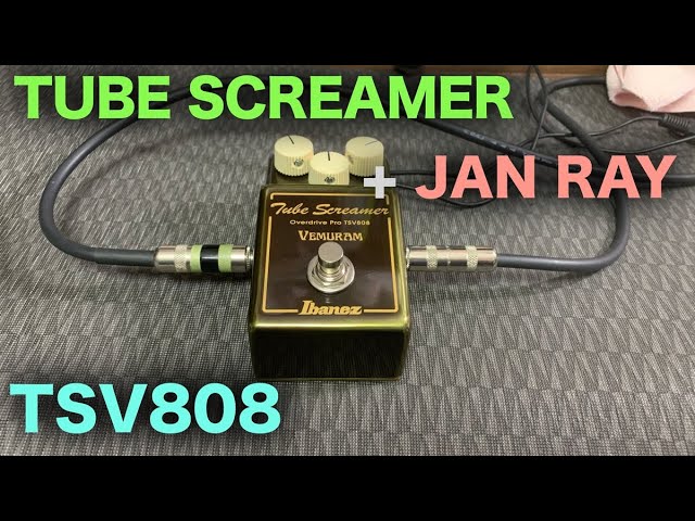 Ibanez TSV808 Ibanez 