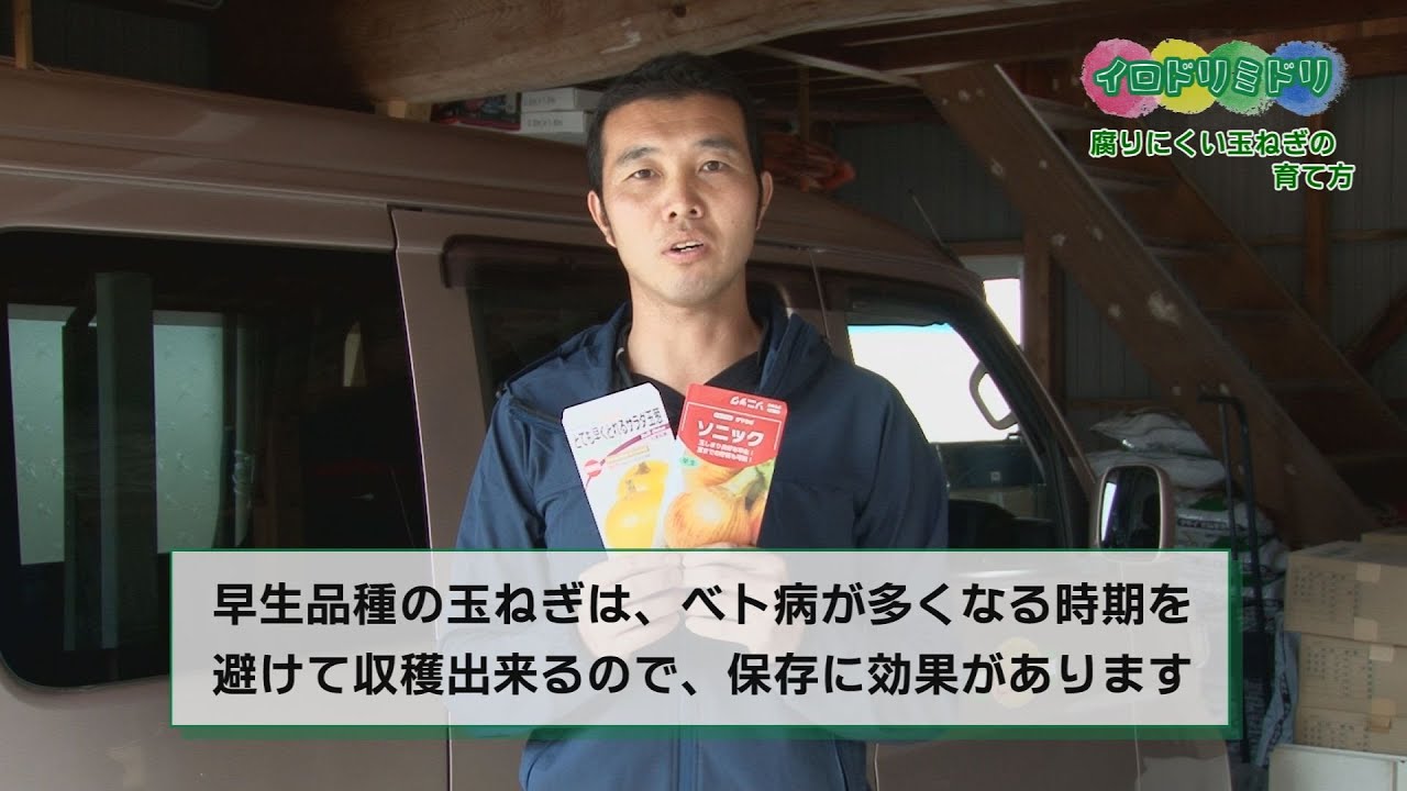 イロドリミドリ「腐りにくい玉ねぎの育て方」東近江スマイルネット