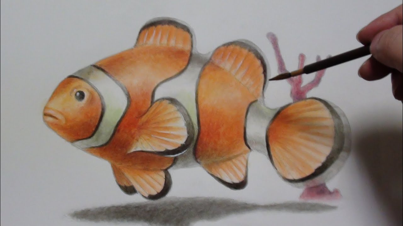 カクレクマノミClownfishトリックじゃない立体アート3D Art -Drawing
