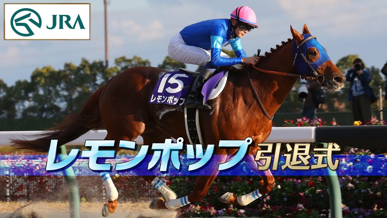 引退式】レモンポップ（Lemon Pop retirement ceremony） | JRA公式