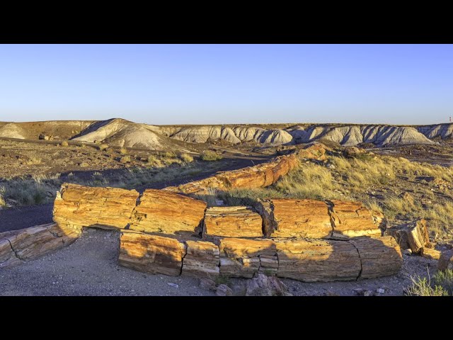 Petrified Forest National Park - Ranger Talks - YouTube