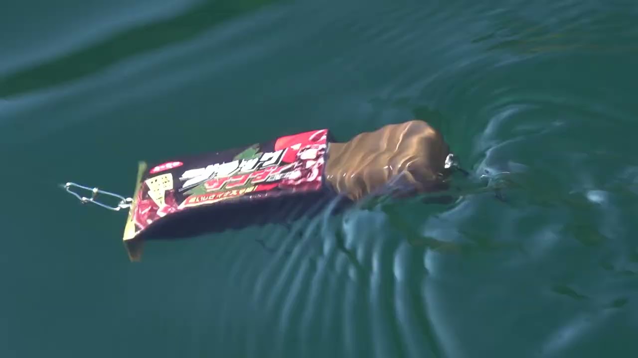 水の中を泳ぎ回るブラックサンダー！？本物とそっくりな「ブラック