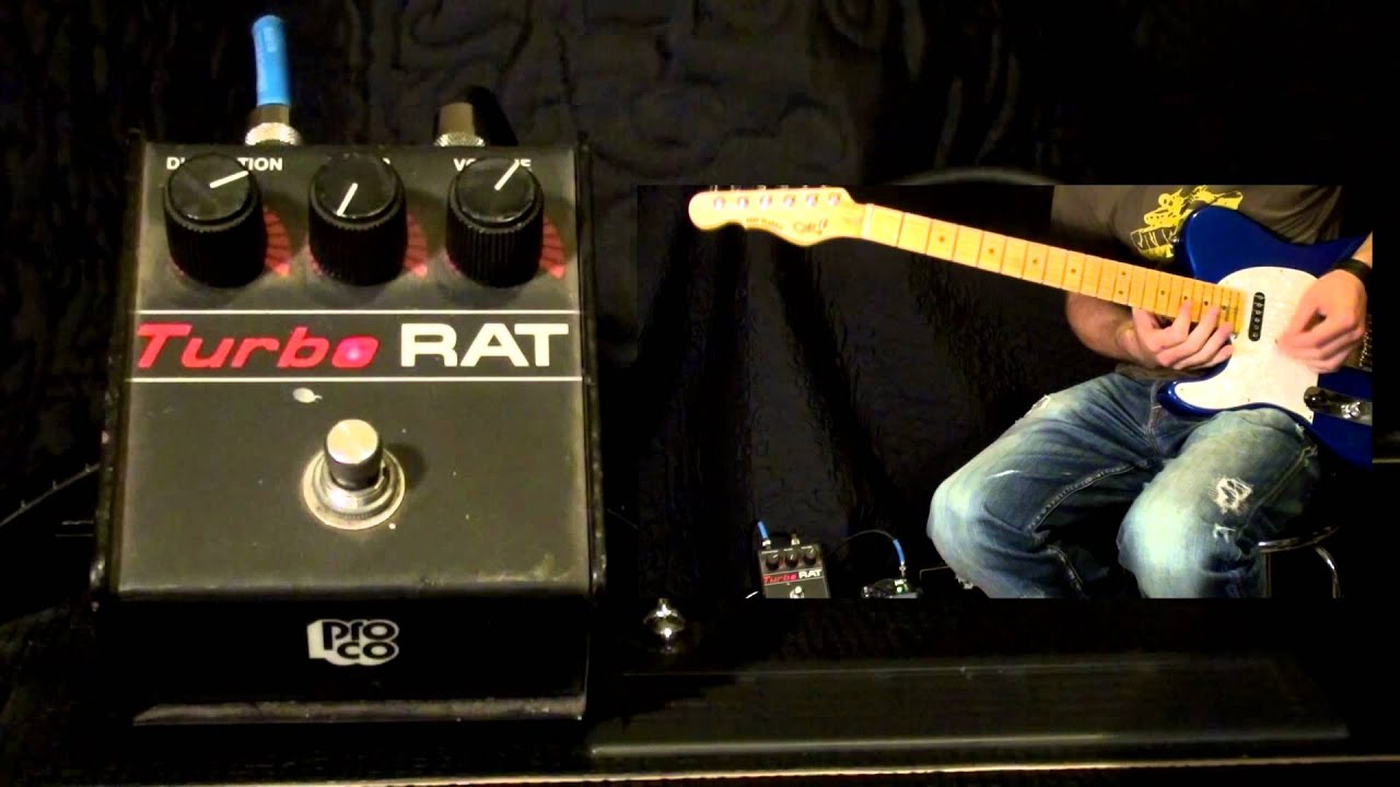 ProCo Turbo Rat Distortion – Motor City Guitar