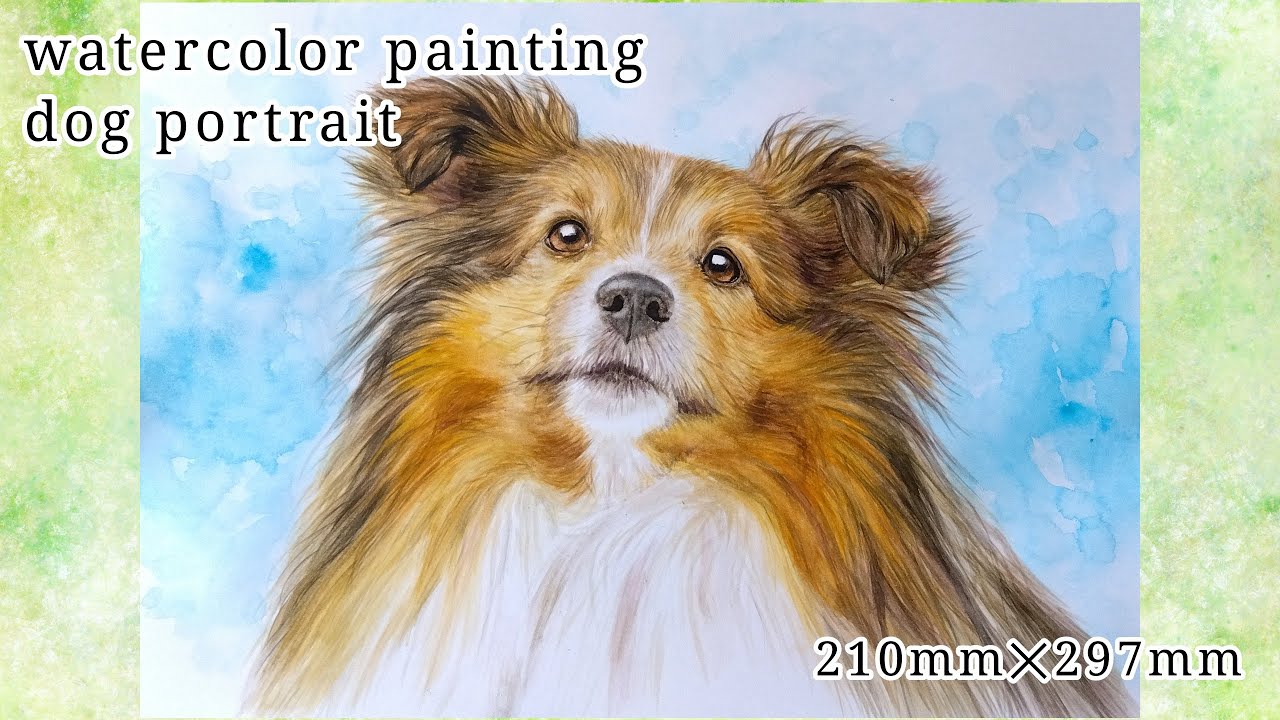 犬の水彩画 シェルティ肖像画 Watercolor Dog Painting【Pet Portrait