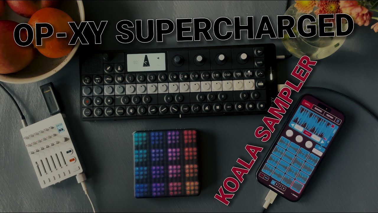 SUPERCHARGE your OP-XY with KOALA Sampler - YouTube