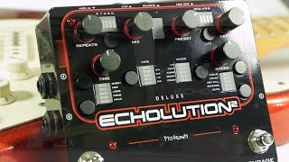 Pigtronix Deluxe Echolution 2 Stereo - YouTube