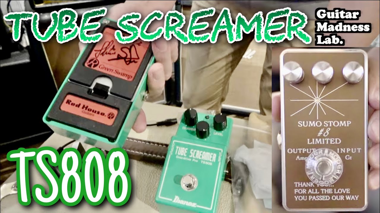 TS808🎸 SUMO STOMP / Green swamp TS808 Red House mod - YouTube