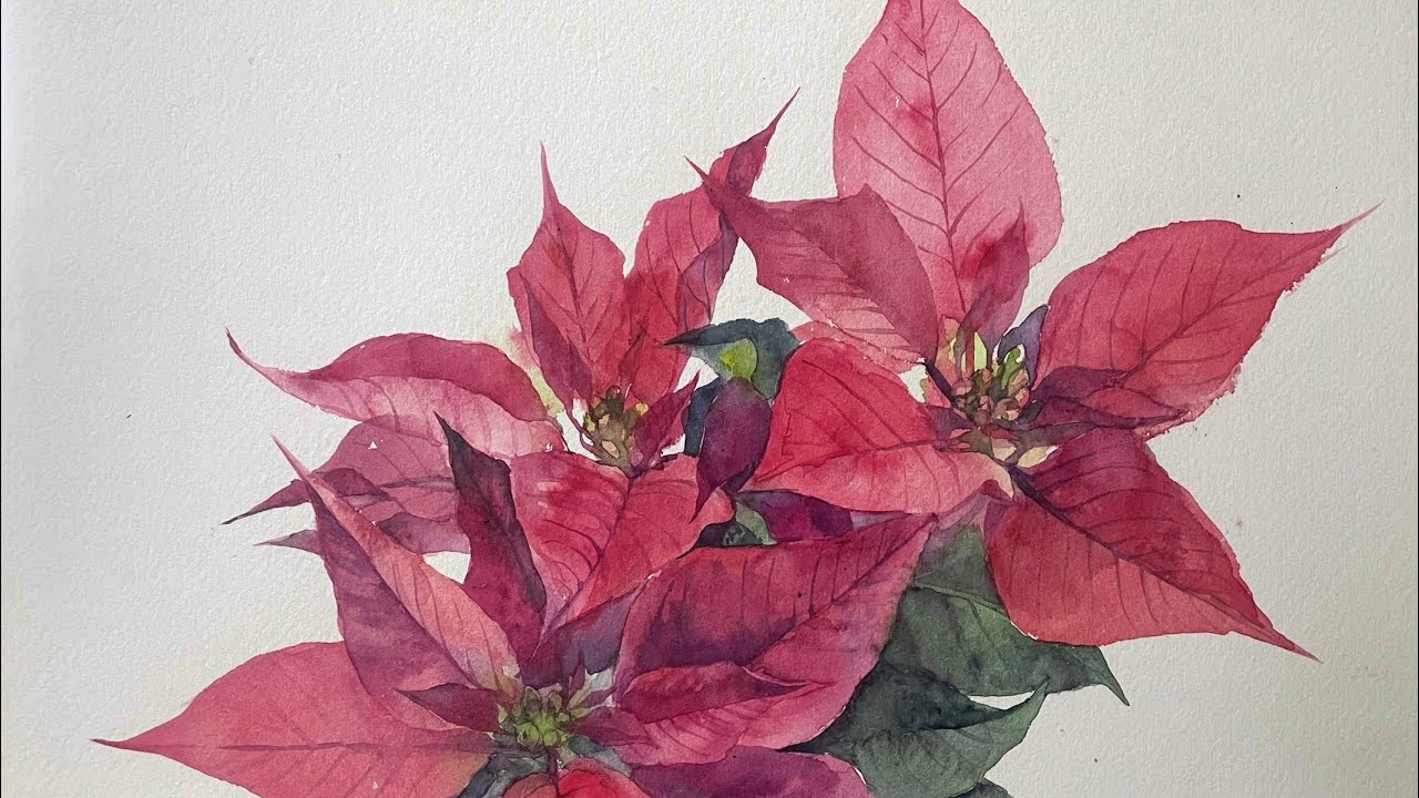 Merry Christmas! I'll draw a poinsettia 🎄 - YouTube