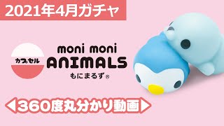 カプセル monimoni ANIMALS もにまるず® | Qualia