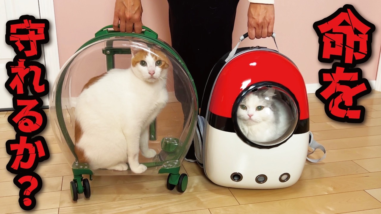 I tried to prepare for a disaster, but it was too much work