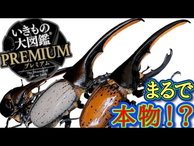 いきもの大図鑑プレミアム】まるで生きてる？ヘラクレス・リッキー最強