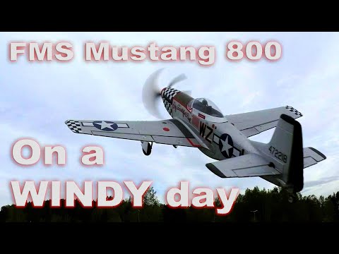 FMS Mustang P51D 800mm - On a windy day - YouTube