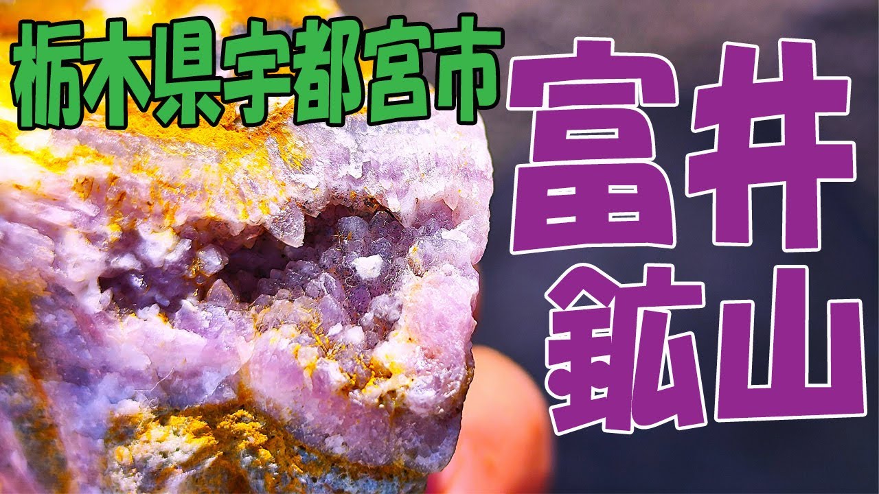 アメジスト発見‼【栃木県宇都宮市・富井鉱山】下流の沢にも水晶が