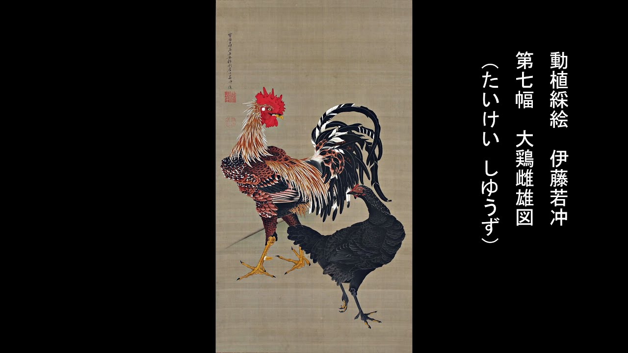動植綵絵 伊藤若冲 「第七幅 大鶏雌雄図 （たいけい しゆうず