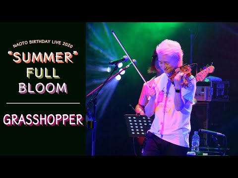 NAOTO - GRASSHOPPER（NAOTO BIRTHDAY LIVE 2020 