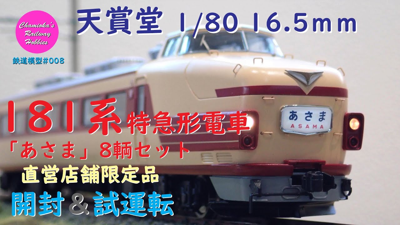 Japanese Model Trains - Tenshodo HO GAUGE 1:80 181series 