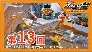 Job Labor Selection 13th] Established! Its name is SEED/Protect