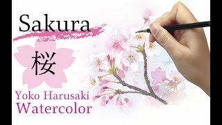 水彩画 桜の描き方 Watercolor draw Cherry Blossoms【Sakura】Yoko