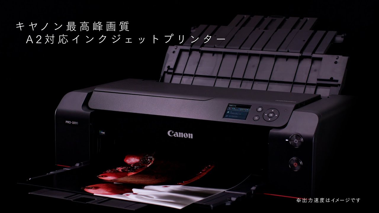 あらゆるプロフェッショナルのために imagePROGRAF PRO-1000【キヤノン