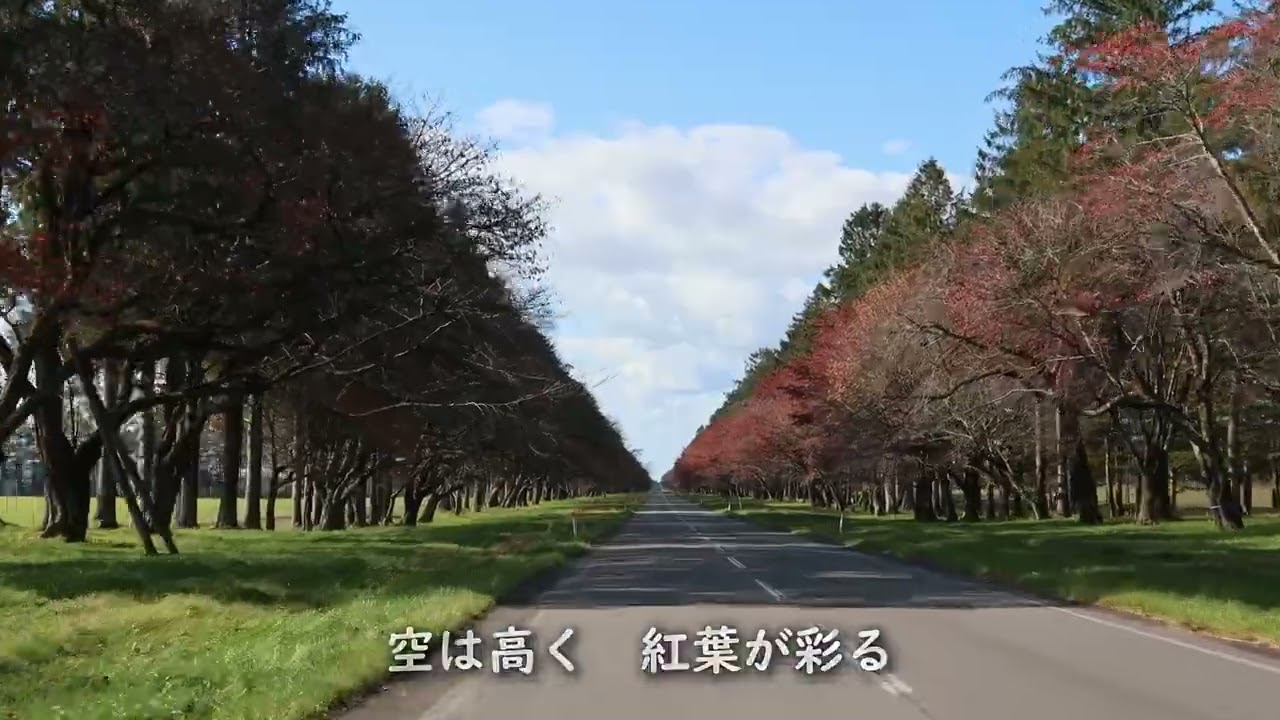 二十間道路桜並木 | 北海道新ひだか町