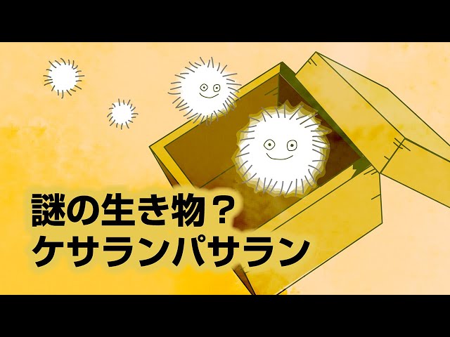 謎の生き物？ケセランパサラン - YouTube