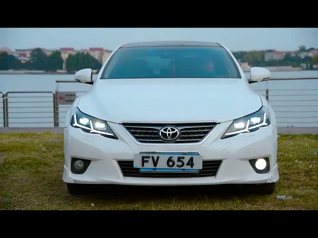 トヨタ マークX 130 前期 ヘッドライト ヘッドランプ 全LED 流れる