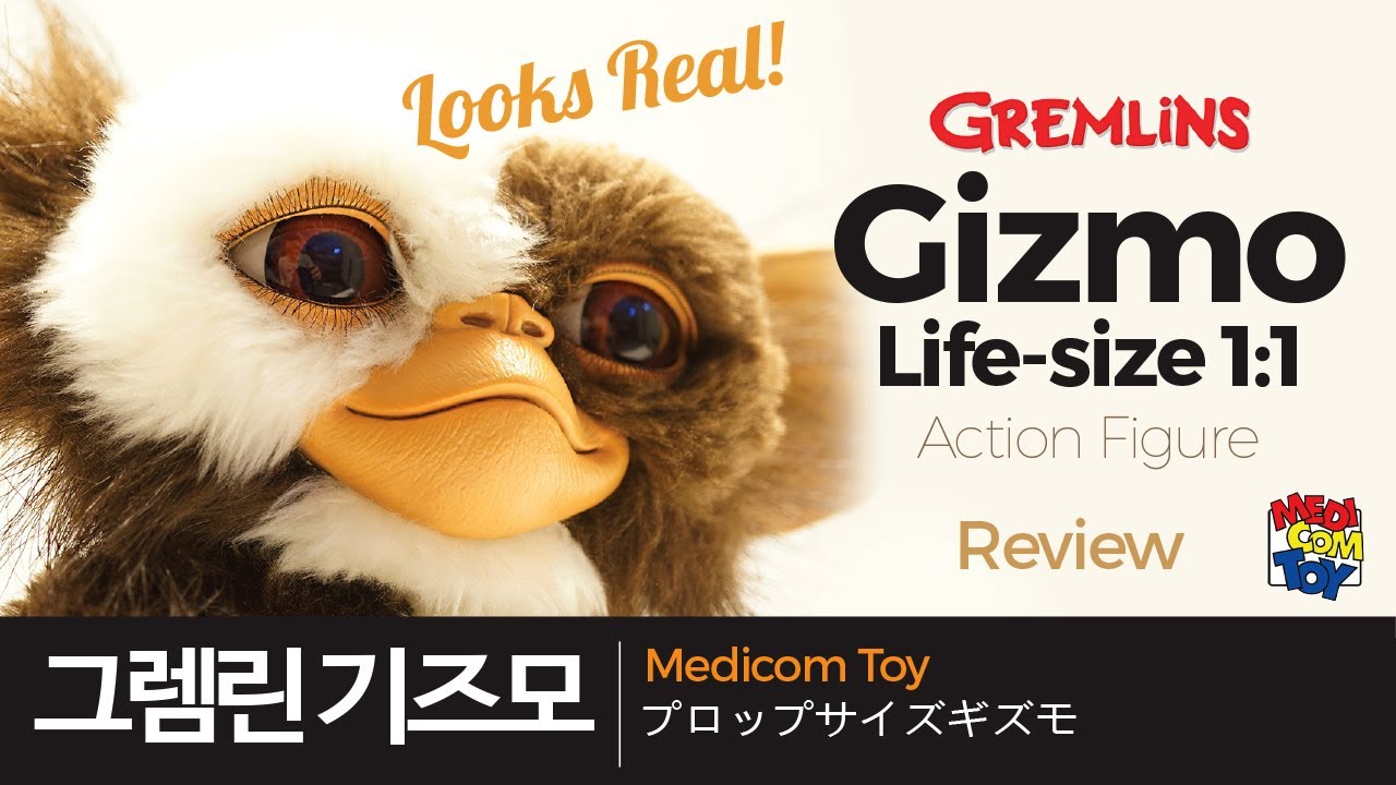 Gremlins Gizmo Life-size 1:1 / 그렘린 기즈모 / VCD PROP Medicom