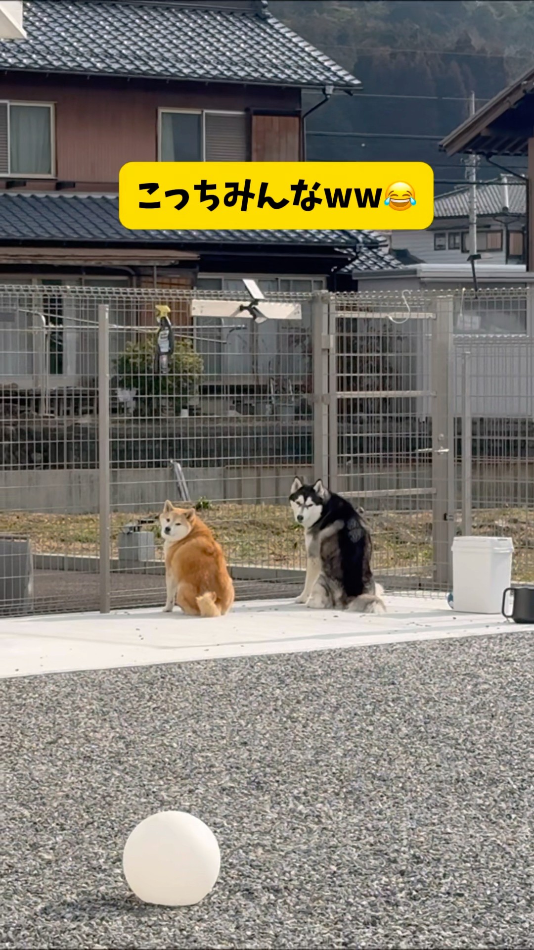 もちごめ兄弟ちゃんねる - YouTube