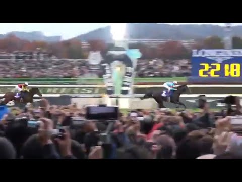 ジャパンカップ 1着イクイノックス号（C.ルメール騎手）（個人撮影