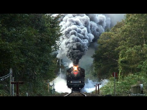 貴婦人、復活へ】SLやまぐち号 C571号機 2006年秋の力走【蒸気機関車