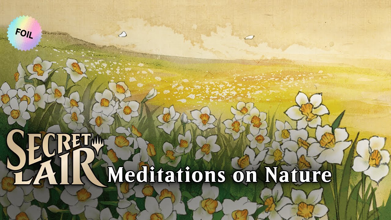 Secret Lair Drop : Meditations in Nature 🌼🌸🌷 - YouTube