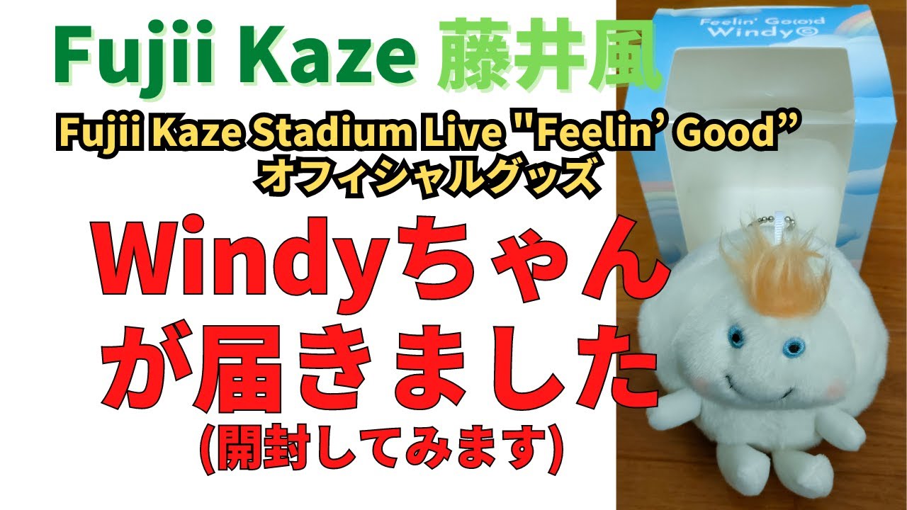 藤井風🍃 Windyちゃんが届きました。開封します Fujii Kaze Stadium