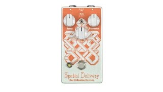 EarthQuaker Devices 【エフェクタースーパープライスSALE】Spatial