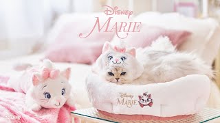 ディズニー マリー 猫じゃらし 《しっぽ / リボン》 / PET PARADISE