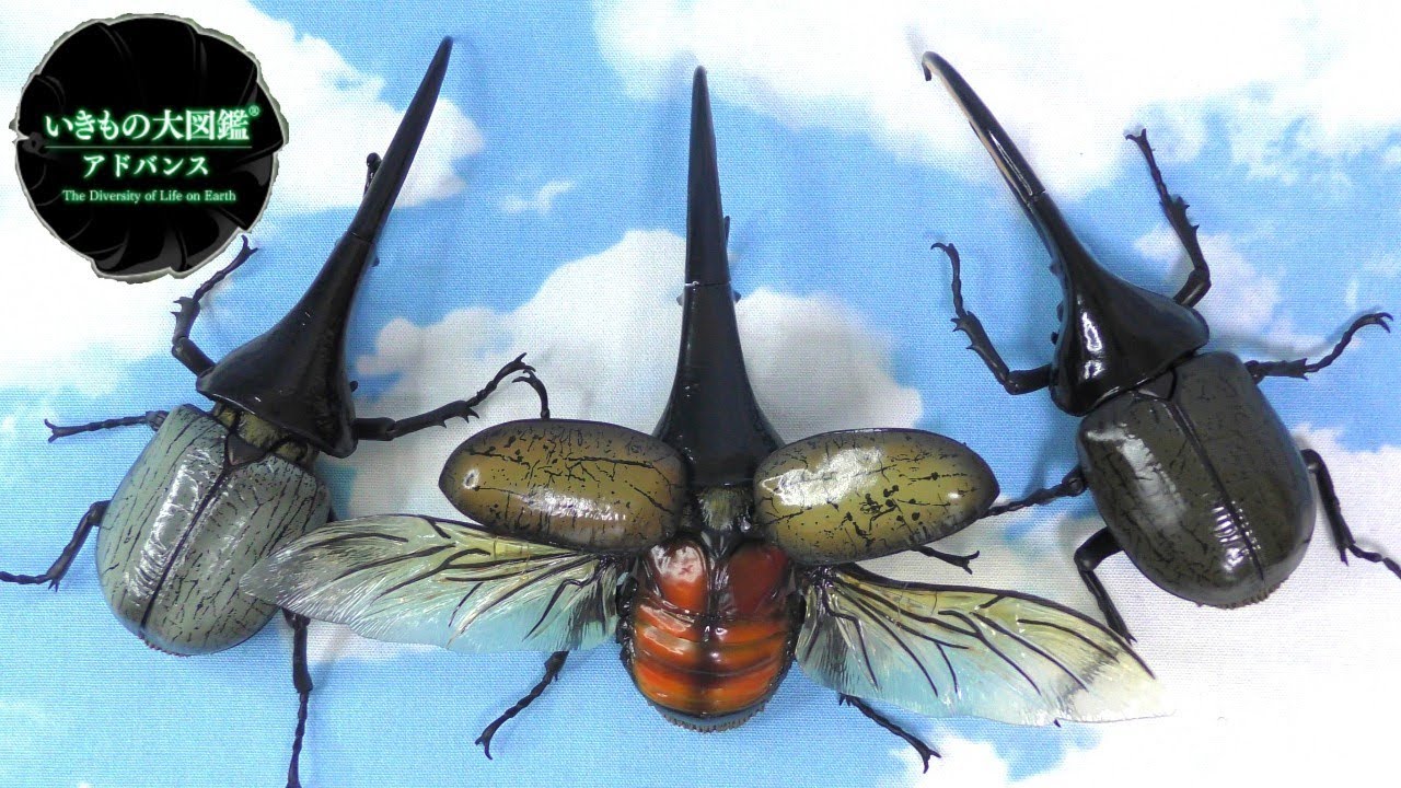 いきもの大図鑑 アドバンス】リアルすぎる高級フィギュア全3種ご紹介