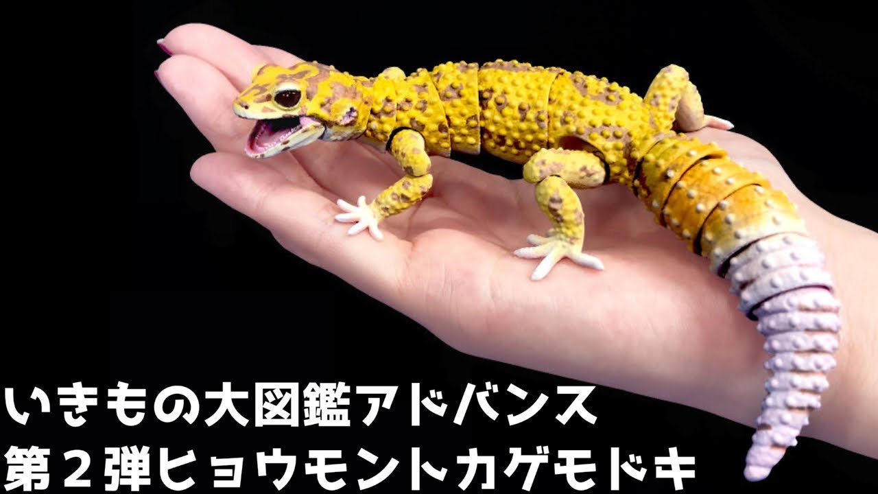 リアルすぎるレオパの可動式フィギュアが必ず当たるガチャを回してみた