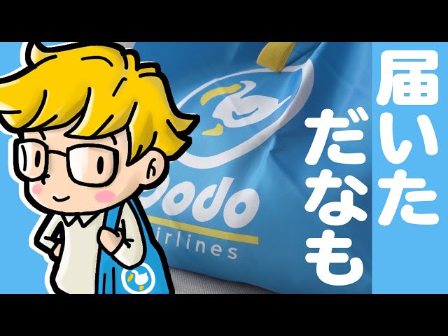 あ*こ様 【美品】あつまれどうぶつの森 Dodoエアライン ジャケット L