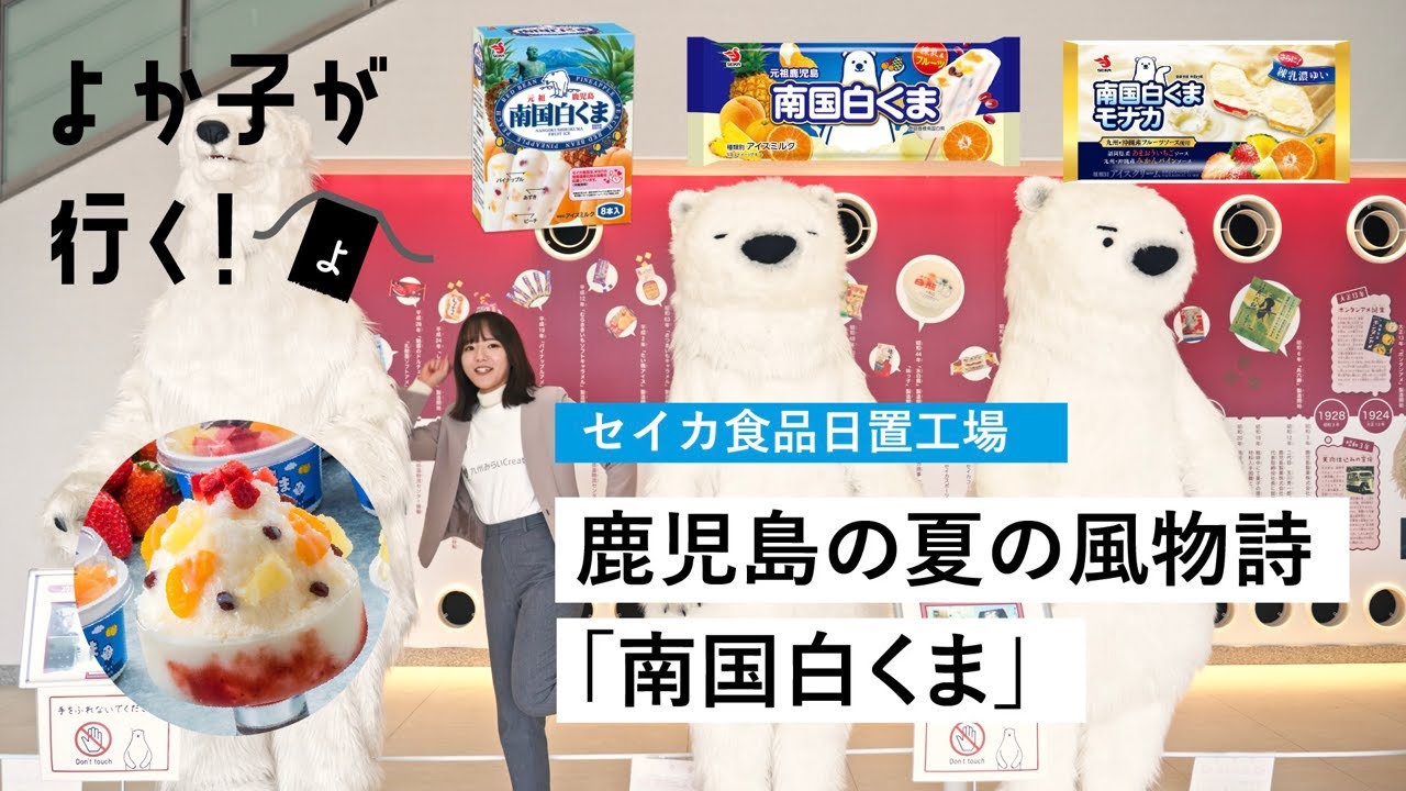 南国白くまDX詰合せセット(SDX-43) セイカ食品