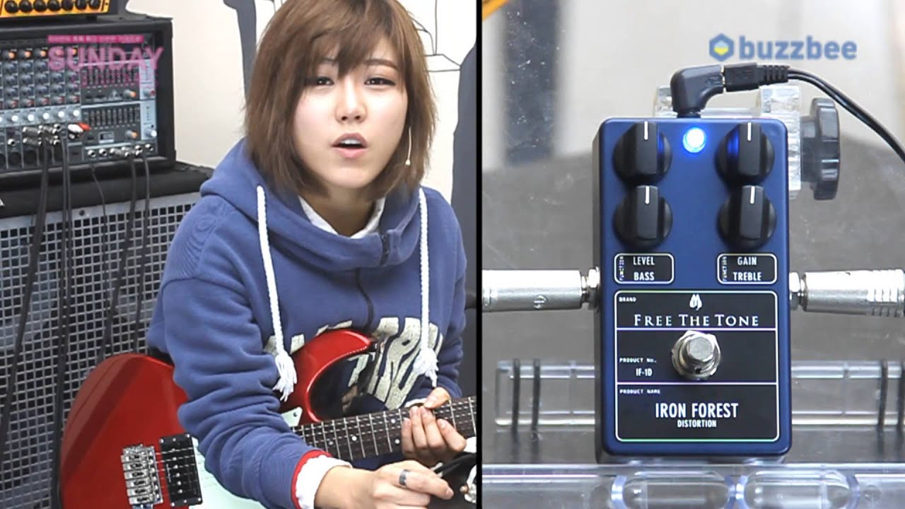 Free Free The Tone Iron forest Distortion フリーザトーン 美品 The