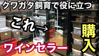 I bought a wine cellar, which is essential for keeping stag