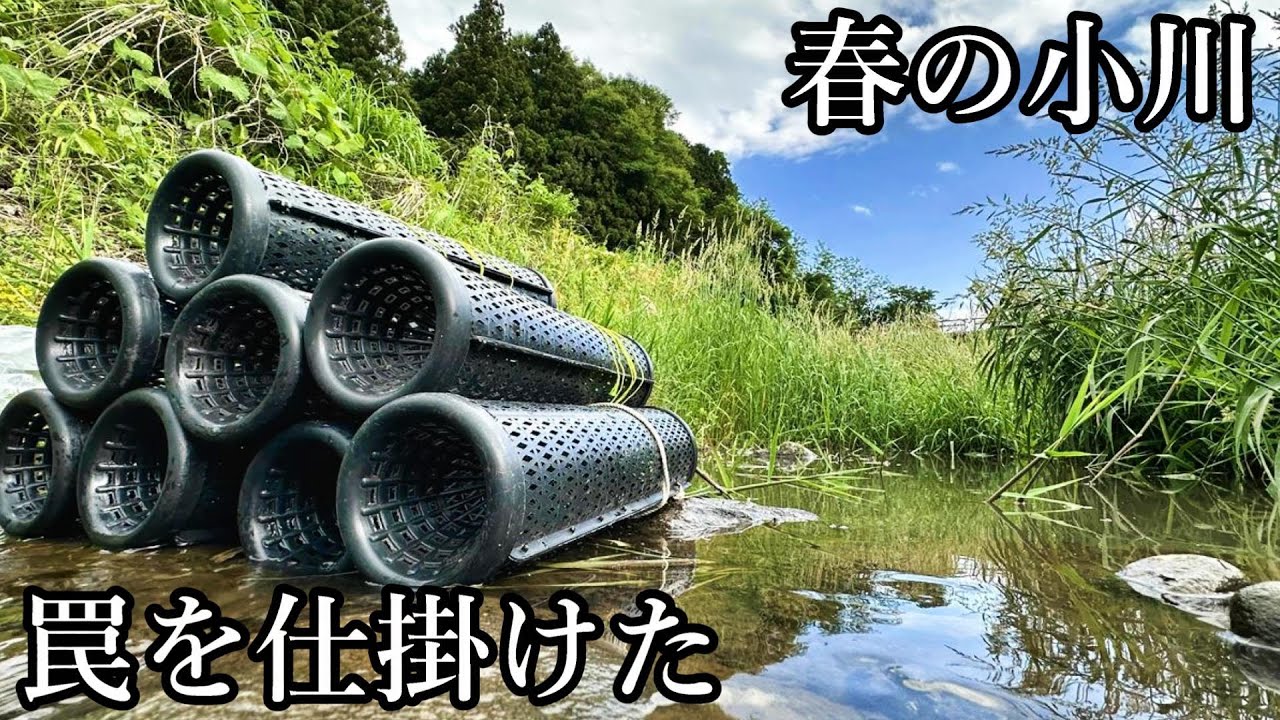 When I set up a trap in the stream, I caught a lot of - YouTube