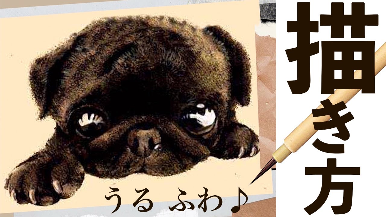 解説付き】絵本作家 金澤麻由子が教えるイラスト講座！かわいい動物の