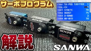 解説】超重要！プログラムサーボの設定を解説 SANWA - YouTube