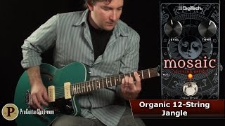 Mosaic | DigiTech Guitar Effects