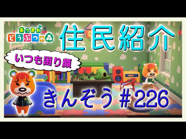 あつ森住民紹介 きんぞう＃226 New Horizons Pudge - YouTube