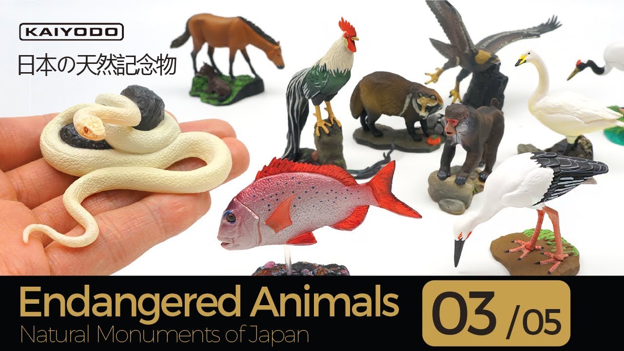 10 Endangered Animals (Natural Monuments of Japan) / 週刊 日本の