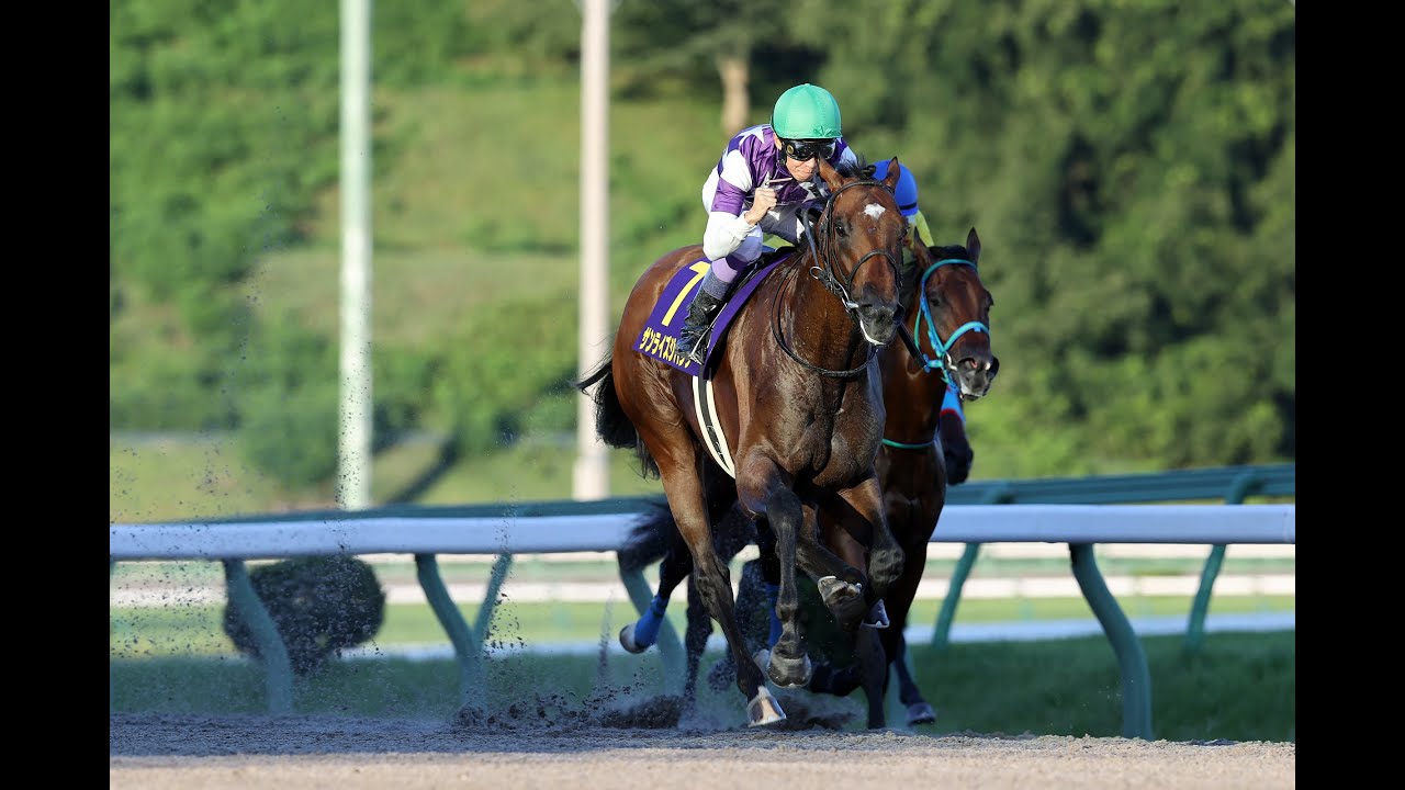 不来方賞特設ページ2025｜岩手競馬